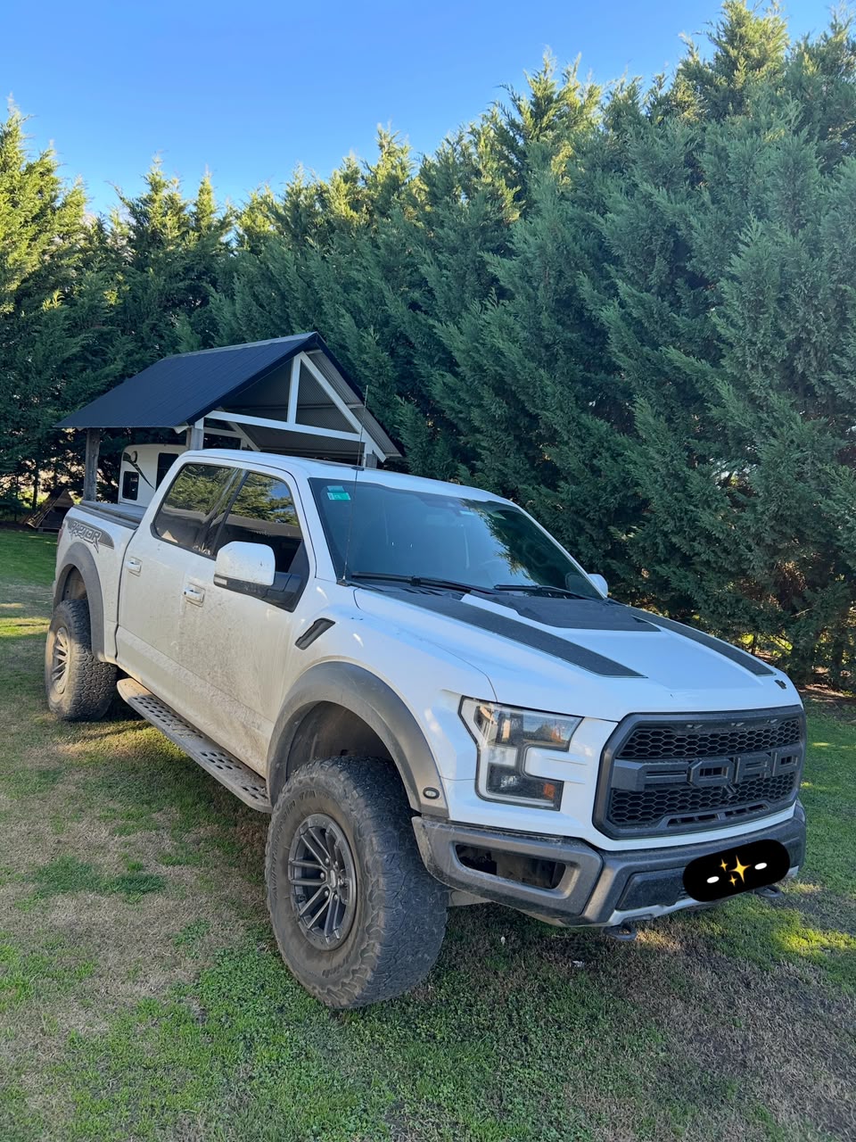 Ford Raptor F-150 antes del lavado